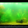 aquatic-technologies-barley-straw-pellets-algae-remove