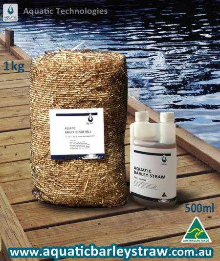 aquatic-barley-straw-bale-fight algae