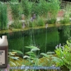 aquatic-technologies-barley-straw-extract-algae-stop