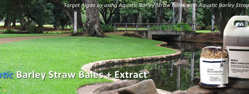 aquatic-technologies-barley-straw-extract-algae-solution