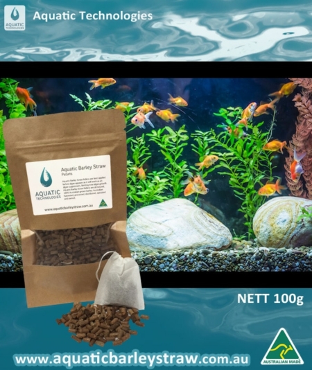 Remove green algae with Aquatic Barley straw Pellets