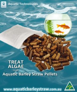Aquatic Barley Straw Pellets used for algae in fish tanks