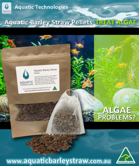 aquatic-barley straw pellets perfect for algae removal