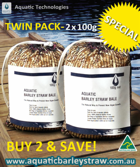 Aquatic barley Straw Bales Natural Algae Inhibitor